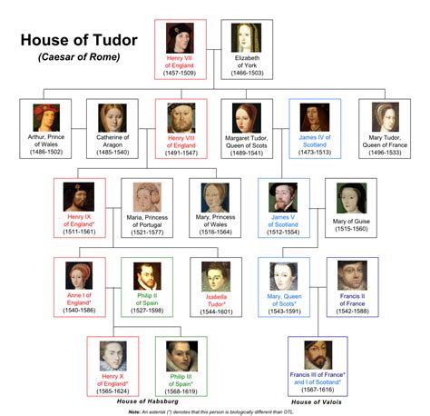 chi sono i tudor|house of tudor britannica.